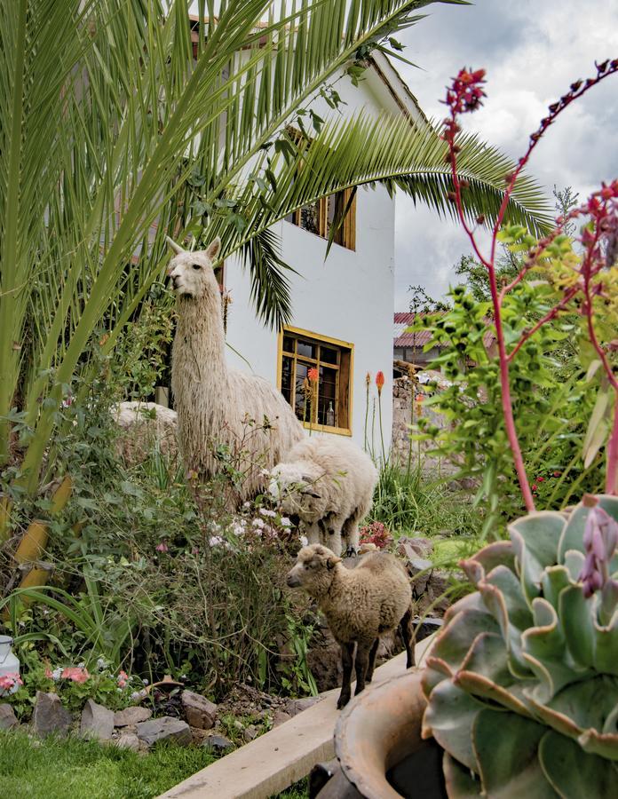 Inkita Boutique Guesthouse クスコ エクステリア 写真