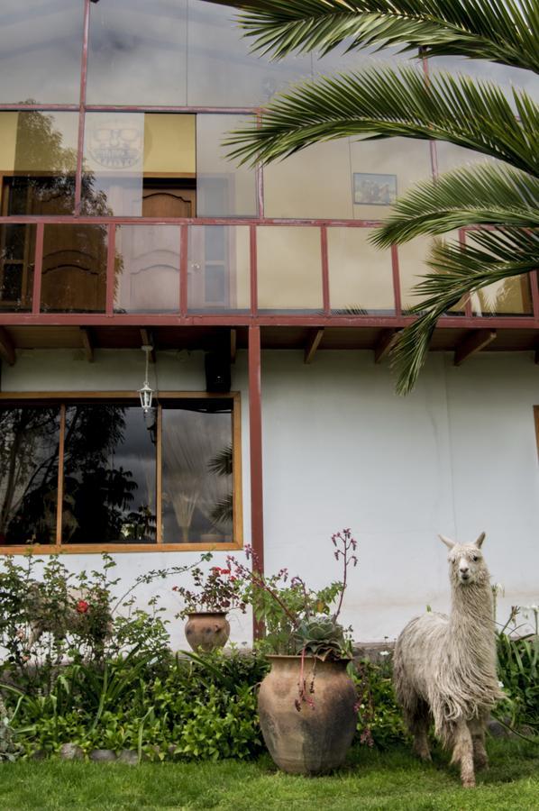 Inkita Boutique Guesthouse クスコ エクステリア 写真